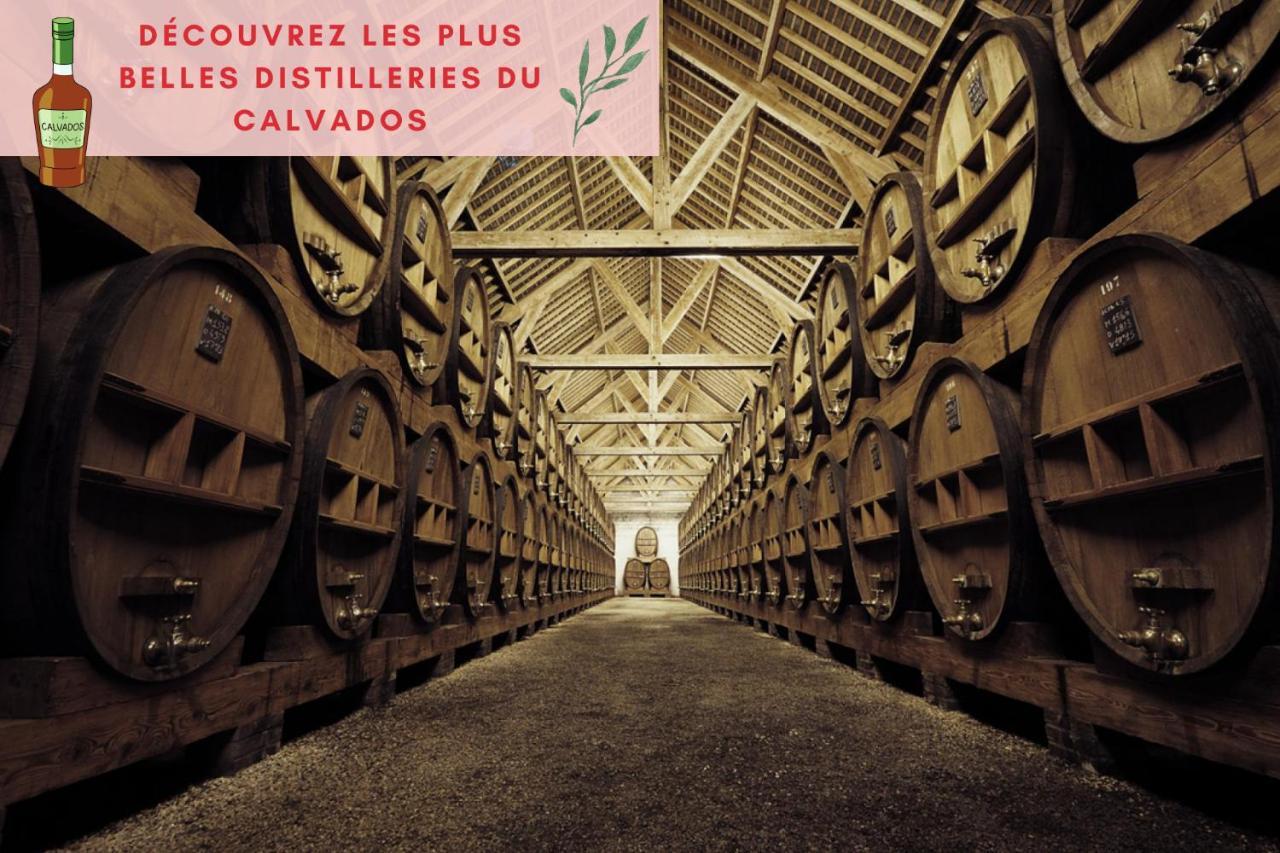 Suite Jungle - Jardin, Netflix Et Parking - Le Manoir Aux Pommes Orbec Luaran gambar